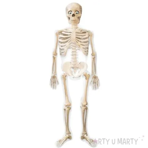 balon foliowy awk mr bones 43 x 190 cm