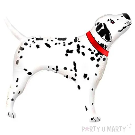 balon foliowy dalmatynczyk czerwona obroza flexmetal 24 shp
