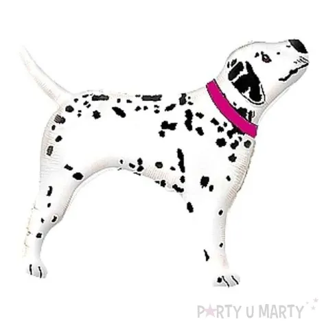 balon foliowy dalmatynczyk rozowa obroza flexmetal 24 shp