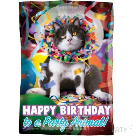 balon foliowy happy birthday kot amscan 17 sqr