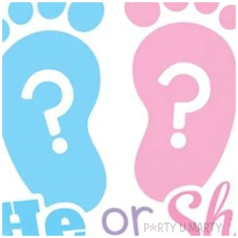 balon foliowy he or she stopy qualatex 18 rnd