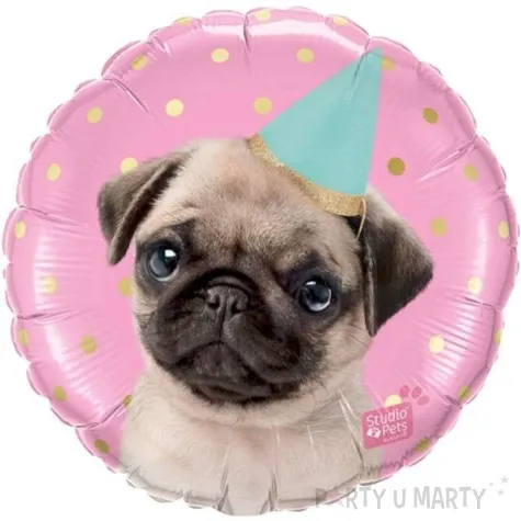 balon foliowy imprezowy mops qualatex 18 rnd