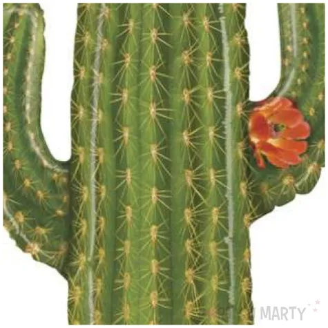 balon foliowy kaktus grabo 41 shp