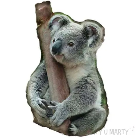 balon foliowy koala realistyczny flexmetal 14 shp