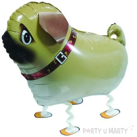 balon foliowy piesek mops top ten 22 awk