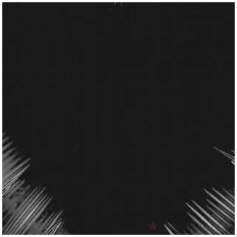 balon foliowy serce czarny flexmetal 18 hrt