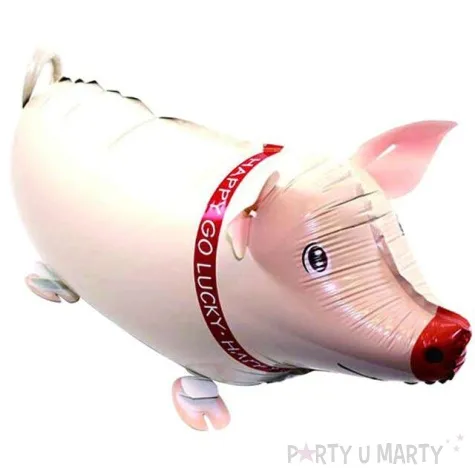 balon foliowy swinka top ten 26 awk