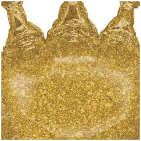 balon foliowy zlota korona holo grabo 36 shp