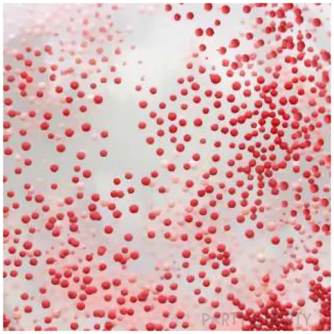 balon piankowe kuleczki czerwone transparentny dekoracjepolska 12 5 szt