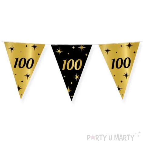 baner flagi 100 urodziny classy party 10m pd party