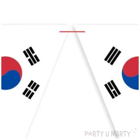 baner flagi panstwa swiata korea poludniowa diy 3 6 m