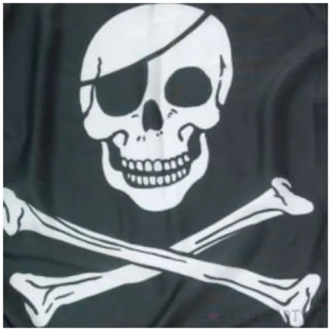 baner flagi piracka amscan czarny