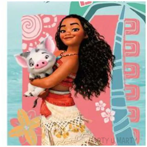 baner na drzwi moana vaiana skarb oceanu procos 152x76 cm