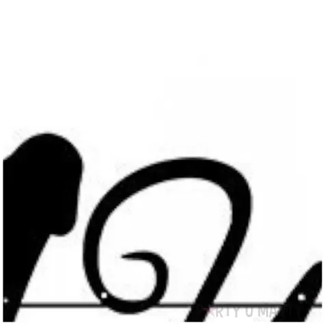 baner wieczor panienski peniski czarny partycollection 250 cm