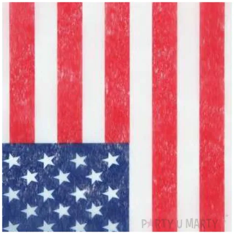 bieznik usa party santex 500 x 30 cm