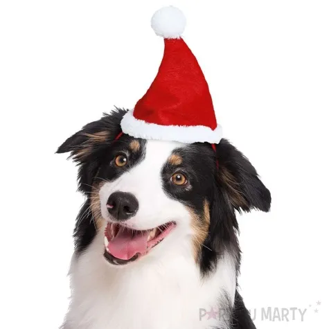 czapka dla psa swiety mikolaj guirca