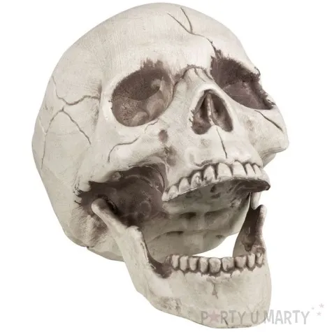 dekoracja czaszka z ruchoma szczeka boland 20 cm
