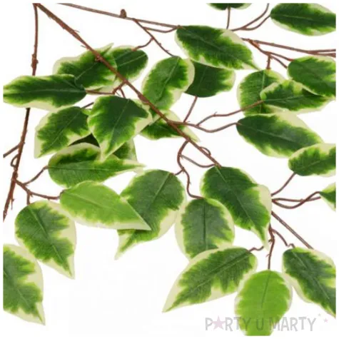 dekoracja galazka benjamina cieniowana zielony arpex 60 cm