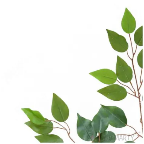 dekoracja galazka benjamina zielony arpex 65 x 45 cm