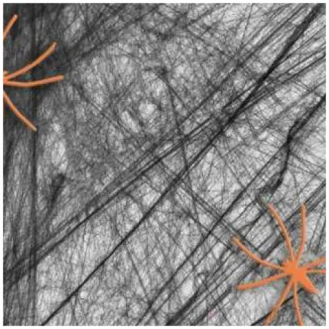 dekoracja halloweenowa pajeczyna czarna partypal 20 g