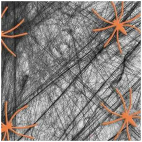 dekoracja halloweenowa pajeczyna czarna partypal 200 g