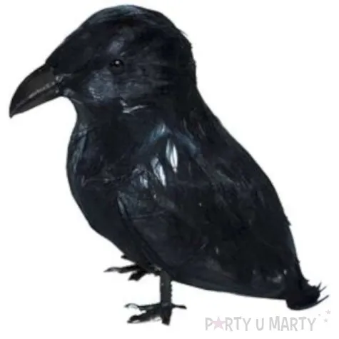 dekoracja kruk czarny funnyfashion
