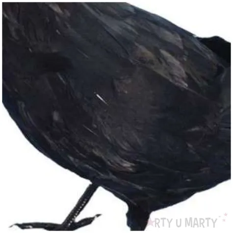 dekoracja kruk czarny smiffys