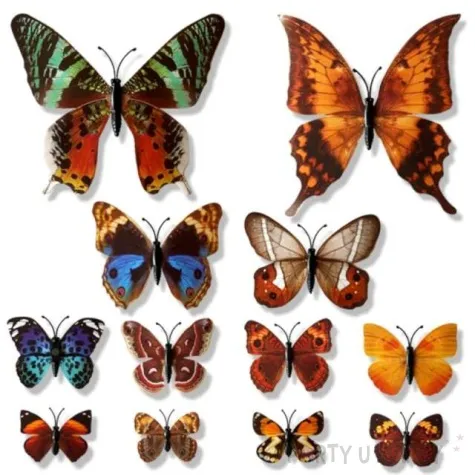 dekoracja motyl 3d mix dekoracje polska 12 szt