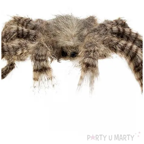 dekoracja na halloween sztuczny pajak xxl z owlosieniem brazowy straszna ozdoba 70 cm