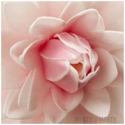 dekoracja na tort kwiat dalia rozowa dekora 12 5 cm