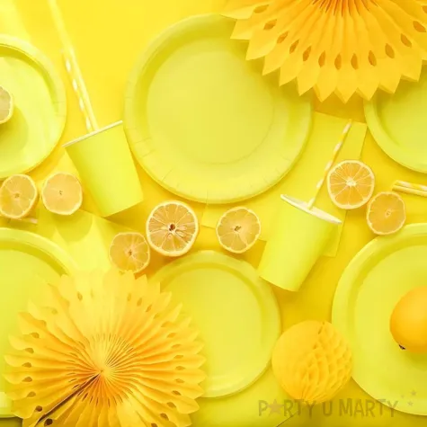 dekoracja na urodziny jednorazowa zastawa stolowa talerzyki papierowe monokolor zolte 23 cm x6