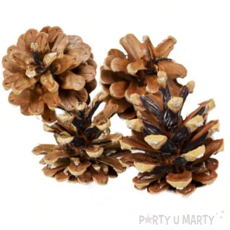 dekoracja naturalne szyszki arpex 6 cm 4 szt