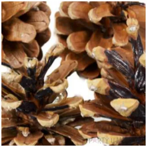 dekoracja naturalne szyszki arpex 6 cm 4 szt