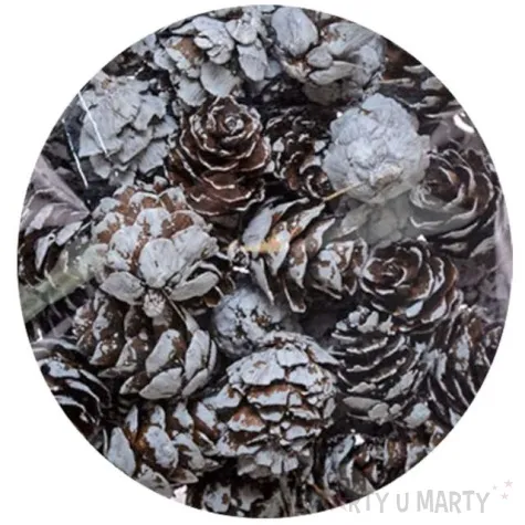 dekoracja osniezone szyszki arpex 1 opak