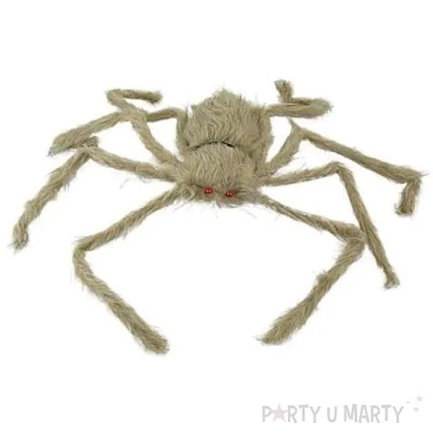 dekoracja pajak wlochaty