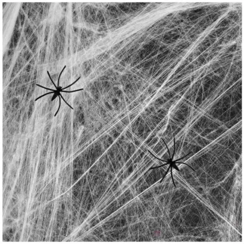 dekoracja pajeczyna z pajakami biala partypal 60 g