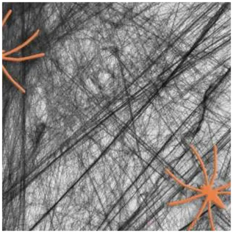 dekoracja pajeczyna z pajakami czarna partypal 60 g