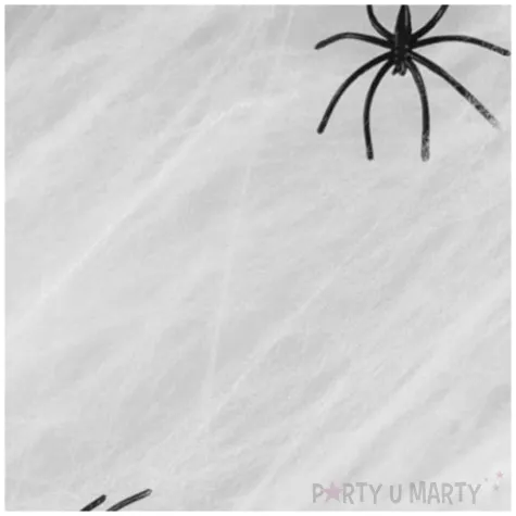 dekoracja pajeczyna z pajakiem arpex 20 g