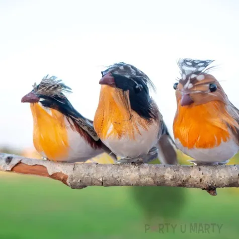 dekoracja ptaki rudzik mix aliga 12 cm 6 szt