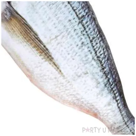 dekoracja ryba realistyczna widmann 55 cm