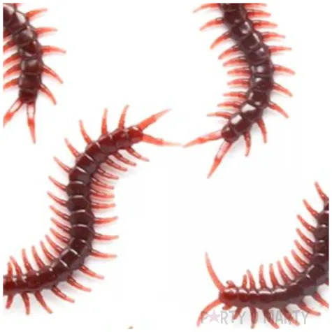 dekoracja skolopendry brazowe 100x30 mm 5 szt