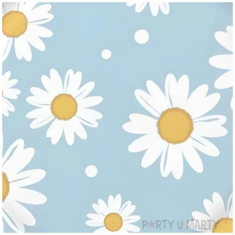 dekoracja stolu na urodziny piknik talerzyki papierowe stokrotki niebieskie dzien wiosny x8