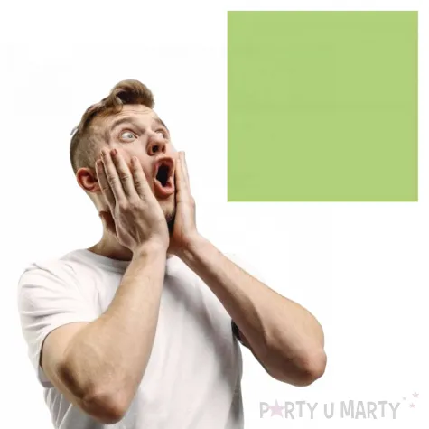 dekoracja stolu na urodziny serwetki papierowe classic zielone 33 cm 20 szt