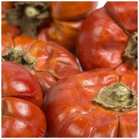 dekoracja suszone dynie jenimport czerwony 5 cm 5 szt