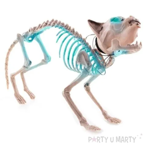 dekoracja szkielet kota funnyfashion 45 cm