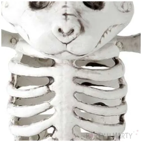 dekoracja szkielet kota widmann 15 cm