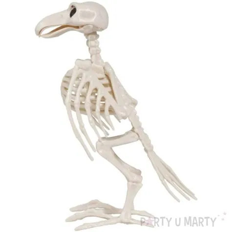 dekoracja szkielet kruka guirca 20 cm