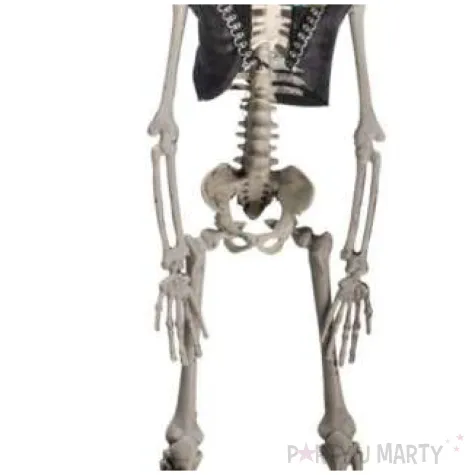 dekoracja szkielet los muertos carnival toys 40 cm