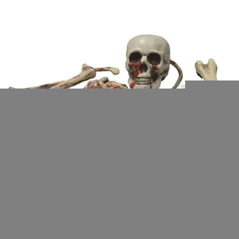dekoracja szkielet ludzki funnyfashion