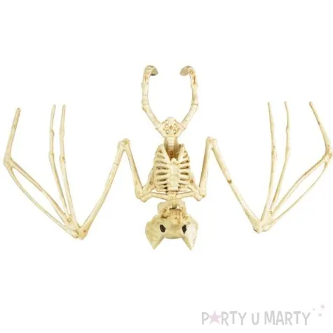 dekoracja szkielet nietoperza naturalny arpex